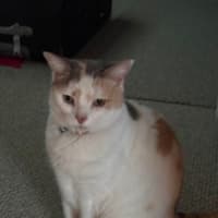 Photo of Millie