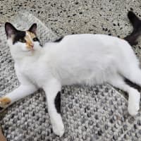 Photo of Mitzi