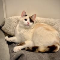 Photo of Momo