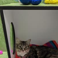 Photo of Helga