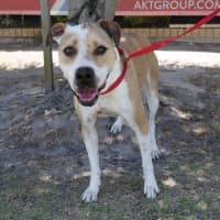 Photo of Wilma