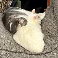 Photo of Ash And Naz