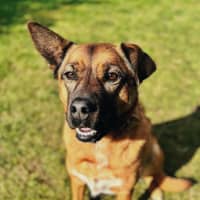 Photo of Bella
