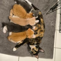 Photo of 🧡 Cinnabon 🤍