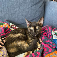 Photo of Hazel