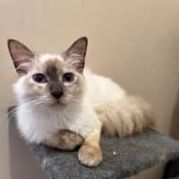 Photo of Sid And Nancy