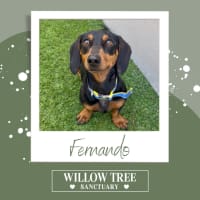 Photo of Fernando