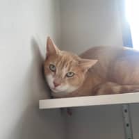 Photo of Atom And Sushi