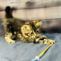 Photo of Sky   Located In Wallan