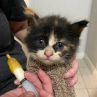 Photo of Hadley Parker