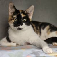 Photo of Myah