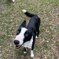 Photo of Jacko