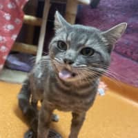 Photo of Kerby