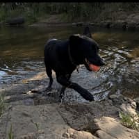 Photo of Mochi