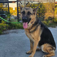 Photo of Shilo