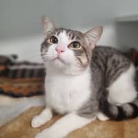 Photo of Oleg 