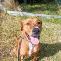 Photo of Otis   38455