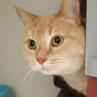 Photo of Moet And Jerry