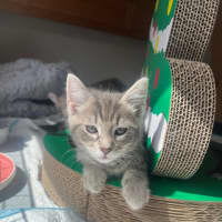 Photo of Roll