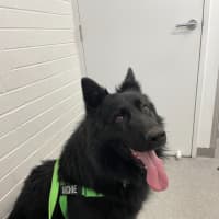 Photo of Archie 💘