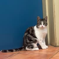 Photo of Tammy
