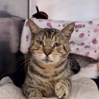 Photo of Bruce Wayne