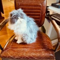 Photo of 😶‍🌫️cloud😶‍🌫️