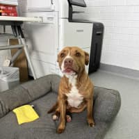 Photo of Skylar! 🌈