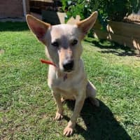 Photo of 1748. Niska