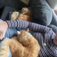 Photo of Mischief And Meggs