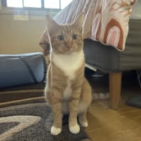 Photo of Griffin