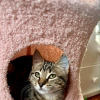 Photo of Winnie