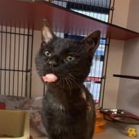 Photo of Bernard 
