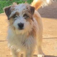 Photo of Darla (Jess)