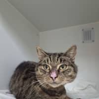 Photo of Mrs. Scraps