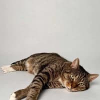 Photo of Tom