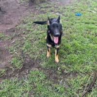 Photo of Coco