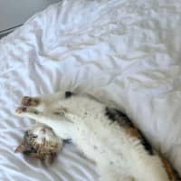Photo of Nami