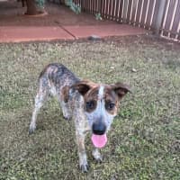 Photo of Puzzle