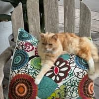 Photo of Eddie & Beryl