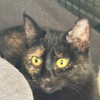 Photo of Wednesday