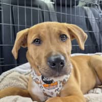 Photo of Murphy