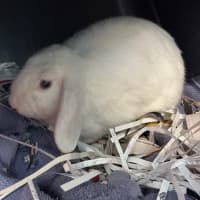 Photo of Pretty Girl