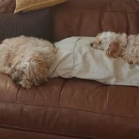 Photo of Angie And Naki Lozano