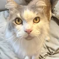 Photo of Knucker & Moley