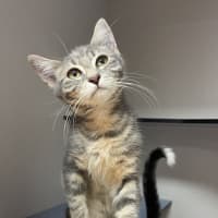 Photo of Sammy