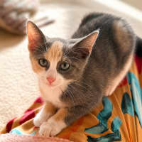 Photo of Heidi