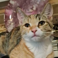 Photo of Osha & Rosemary