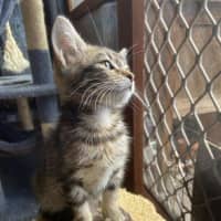 Photo of Winslow