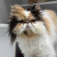 Photo of Boots